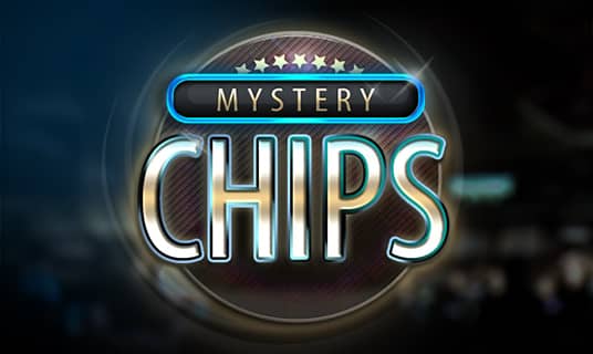 Mystery Chip Game